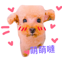 [LINEスタンプ] bogii