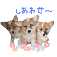 [LINEスタンプ] かりんとかわいいなかまたち