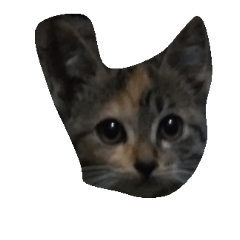 [LINEスタンプ] Catywow