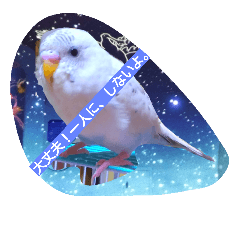 [LINEスタンプ] Today is enjoy