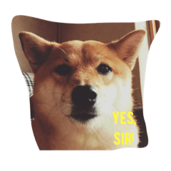 [LINEスタンプ] Dopishiba