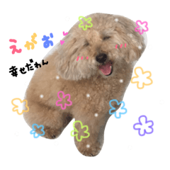 [LINEスタンプ] my dog .....