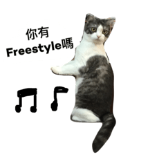 [LINEスタンプ] Stupid Cats 