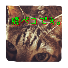 [LINEスタンプ] 胡麻之介
