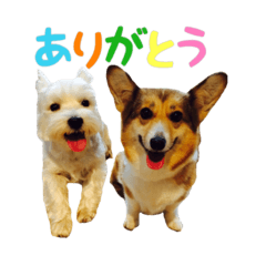 [LINEスタンプ] S family Dogs 2