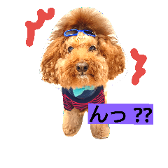 [LINEスタンプ] 夢吉＆恵夢ちゃん