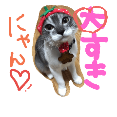 [LINEスタンプ] 69neko sakura69