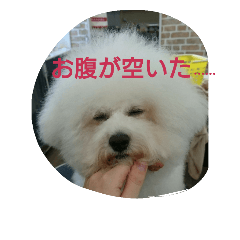 [LINEスタンプ] 遠くても繋がってるよ