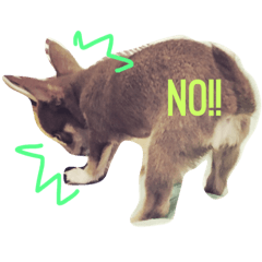 [LINEスタンプ] チワワ兄弟2