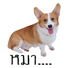 [LINEスタンプ] Baguette the corgi