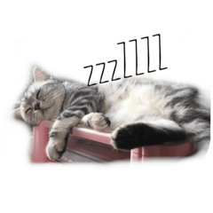 [LINEスタンプ] xiugirl