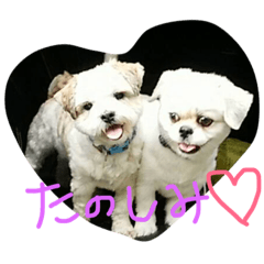 [LINEスタンプ] ラブメルマー