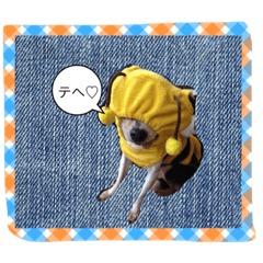 [LINEスタンプ] だいちゃんとしょうたのゆかいなスタンプ