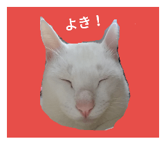 [LINEスタンプ] 白い猫笑うの画像（メイン）