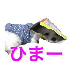 [LINEスタンプ] HARU＆SORA