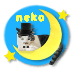 [LINEスタンプ] まんまるねこラプソディ 