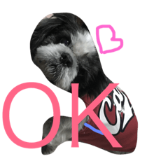 [LINEスタンプ] 愛犬1109