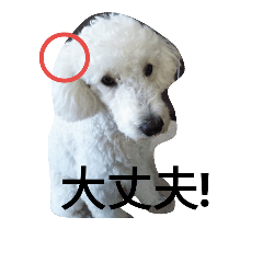 [LINEスタンプ] バニラの毎日 日常