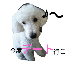 [LINEスタンプ] バニラの毎日 恋愛