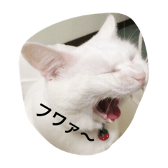 [LINEスタンプ] ヒュゴの日常2！