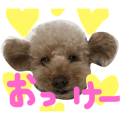 [LINEスタンプ] ナイト1