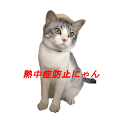 [LINEスタンプ] 僕はベル②