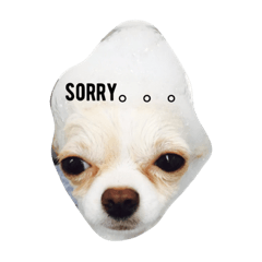 [LINEスタンプ] Tofu's greetings