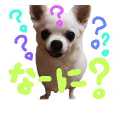 [LINEスタンプ] モモ＆コリキたまにハリ