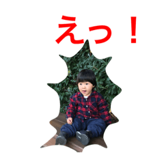 [LINEスタンプ] 凱スタンプ(日常編)