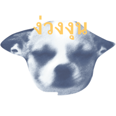 [LINEスタンプ] Rambo the Alien dog
