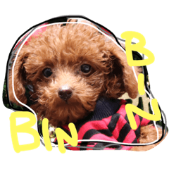 [LINEスタンプ] ビン3