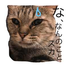 [LINEスタンプ] べろ出るリリー