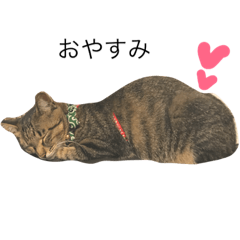 [LINEスタンプ] ちゃーる