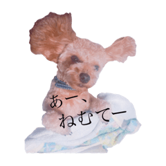 [LINEスタンプ] 気まぐれプティさん