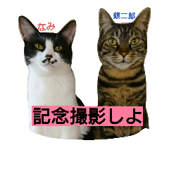 [LINEスタンプ] いつも一緒に