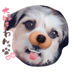 [LINEスタンプ] 温水さん