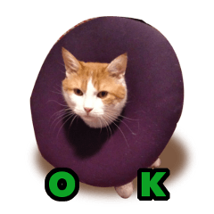 [LINEスタンプ] i'm tony