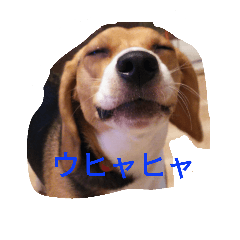 [LINEスタンプ] Beagle Mary