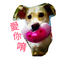 [LINEスタンプ] Tang-tang Loves You 