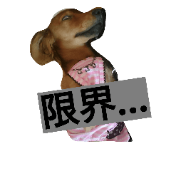 [LINEスタンプ] finally