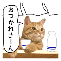 [LINEスタンプ] 茶トラ猫ガットくん3