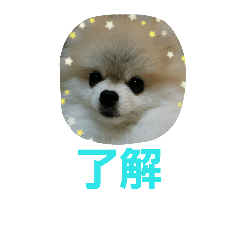 [LINEスタンプ] ふわふわぽんちゃん  2