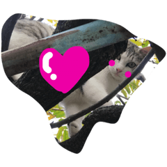 [LINEスタンプ] CAT LOVE LOVE