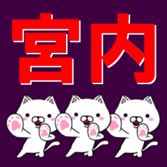 [LINEスタンプ] 超★宮内(みやうち・くない)なネコ