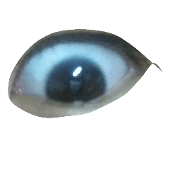[LINEスタンプ] an eye.....can tell you something