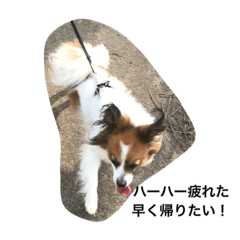[LINEスタンプ] 動物(^^)