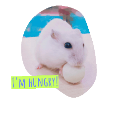 [LINEスタンプ] Cute Mouse Chu