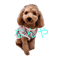 [LINEスタンプ] chie and carl