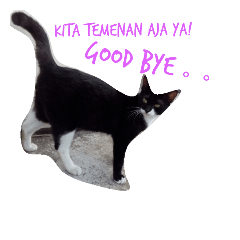 [LINEスタンプ] ひがしいさん、可愛い猫ちゃん