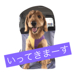 [LINEスタンプ] ゴールデンドゥドル大好き